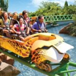 Tampa Bay CityPASS®: Save up to 55% at 5 Top Attractions - How Does the Experience Feel in Practice?