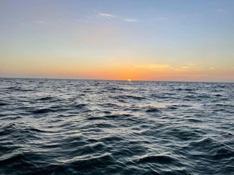 Tampa Bay: Sunset Cruise with Celebrity Homes and Wildlife - The Wildlife & Nature Aspect