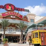 Tampa Historic Walking Tours - What to Expect During the Tour