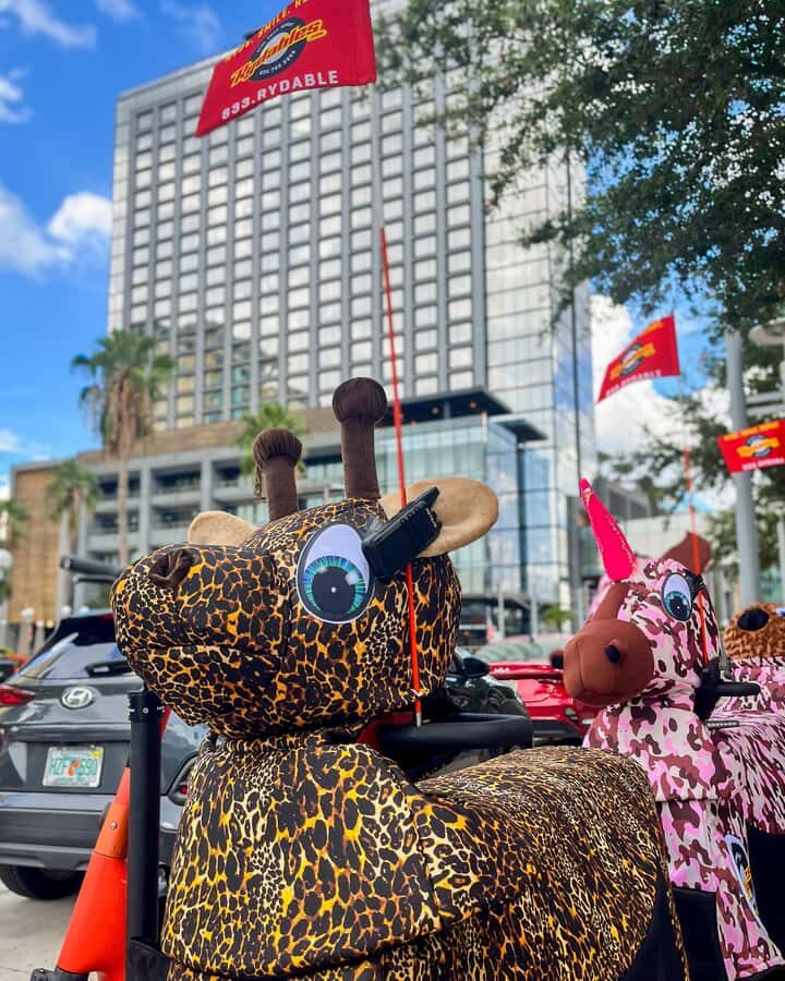 Tampa: Riverwalk and Downtown Tour on a Rydable - Who Is This Tour Best For?