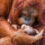 Tampa's ZooQuarium Admission - The Itinerary Breakdown: What to Expect at Each Stop