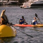 Tandem Kayak Rentals in Mission Bay - What the Waters Are Like & Paddling Around