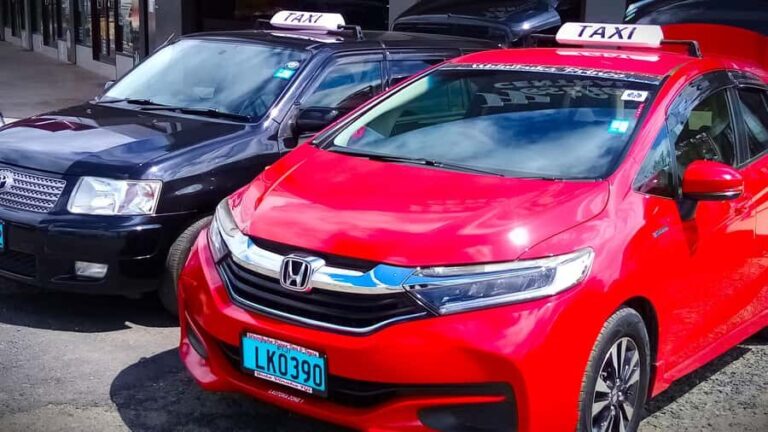 Tanoa Waterfront Hotel to Natadola Beach Round Trip - The Value of the Tour