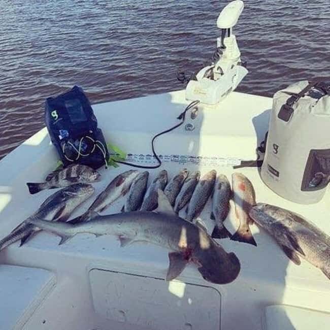 Tarpon Springs: Private Guided Gulf of Mexico Fishing Tour - The Value of the Experience
