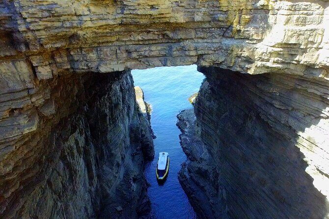 Tasman Island Cruises Day Tour from Hobart - Who Should Consider This Tour?