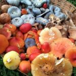 Taste and Tradition Acaxochitlán Culinary Tour from Mexico City - Things to Keep in Mind