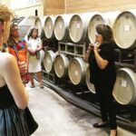 Taste of Fredericksburg Small-Group Wine Tour from San Antonio - The Itinerary in Detail