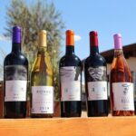 Tasting of 5 wines and tour at the winery Rondo del Valle - FAQs