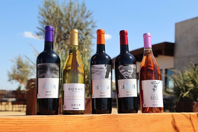 Tasting of 5 wines and tour at the winery Rondo del Valle - FAQs