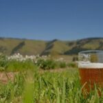 Tasting the Gorge by Ebike - The Experience of the Tastings