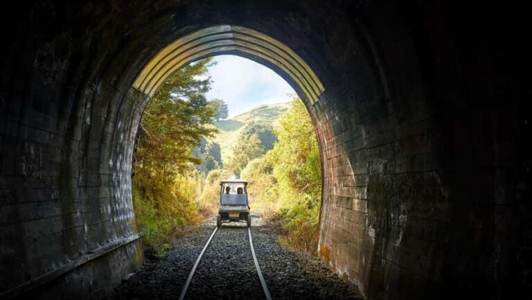 Taumarunui: Forgotten World Rail Cart Tour with Lunch - The Itinerary in Detail