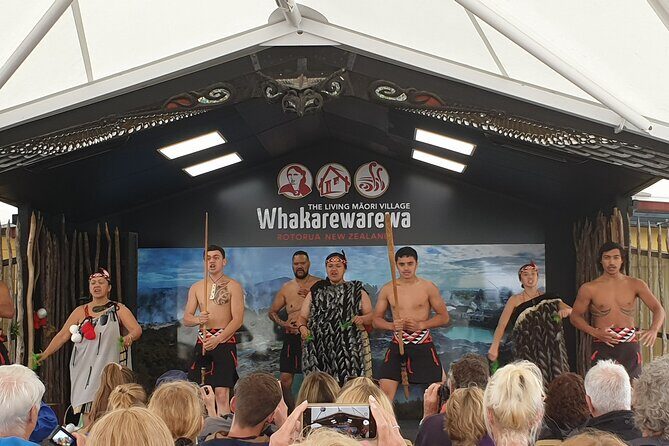 Tauranga Cruise Tour Rotorua Redwood and Maori Village Experience - A Deep Dive into the Tour Experience
