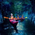 Tauranga: Evening Glowworm Kayak Tour - The Itinerary and What to Expect