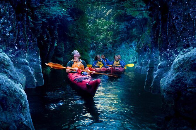 Tauranga: Evening Glowworm Kayak Tour - The Itinerary and What to Expect