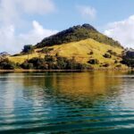 Tauranga Harbour Cruise - What Makes This Tour Stand Out?