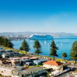 Tauranga Shore Excursion: Top Half Day Curated Highlights Tour - Who Should Consider This Tour?