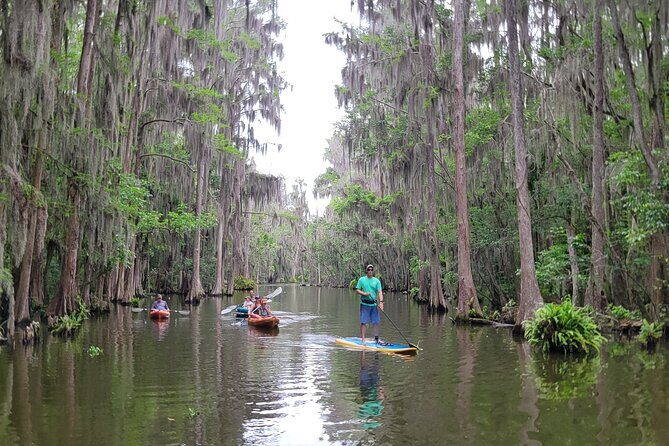 Tavares Poppy's Sweet Paddle Adventure with Ice Cream - The Sum Up