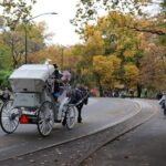 Tavern on the Green PickUp&DropOff With Horse Carriage Ride - The Experience in Detail