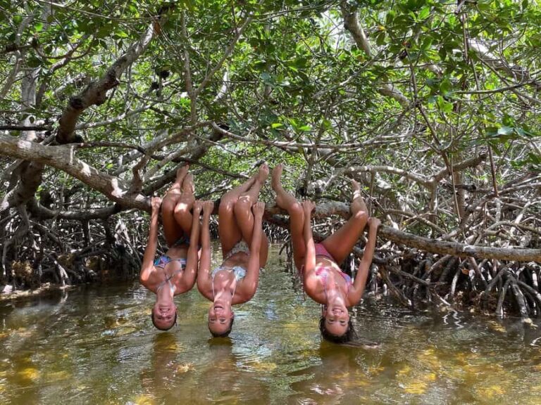 Tavernier, FL: Mangrove and Manatees Guided Kayak Eco Tour - What’s Included and What to Bring