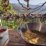 Taxco: Organic Coffee Garden Experience - Who Is This Tour Best For?