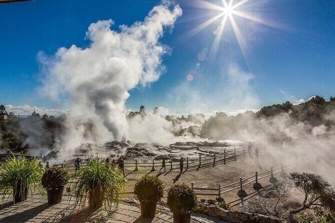 Te Puia Geothermal Valley - Rotorua - FAQ