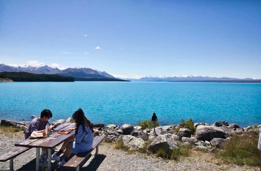 Tekapo Shuttle: Mt Cook Day Tour via Pukaki & Tasman Lake - Who Will Love This Tour?