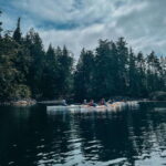 Telegraph Cove: Half-Day Kayaking Tour - What Makes This Tour Stand Out?