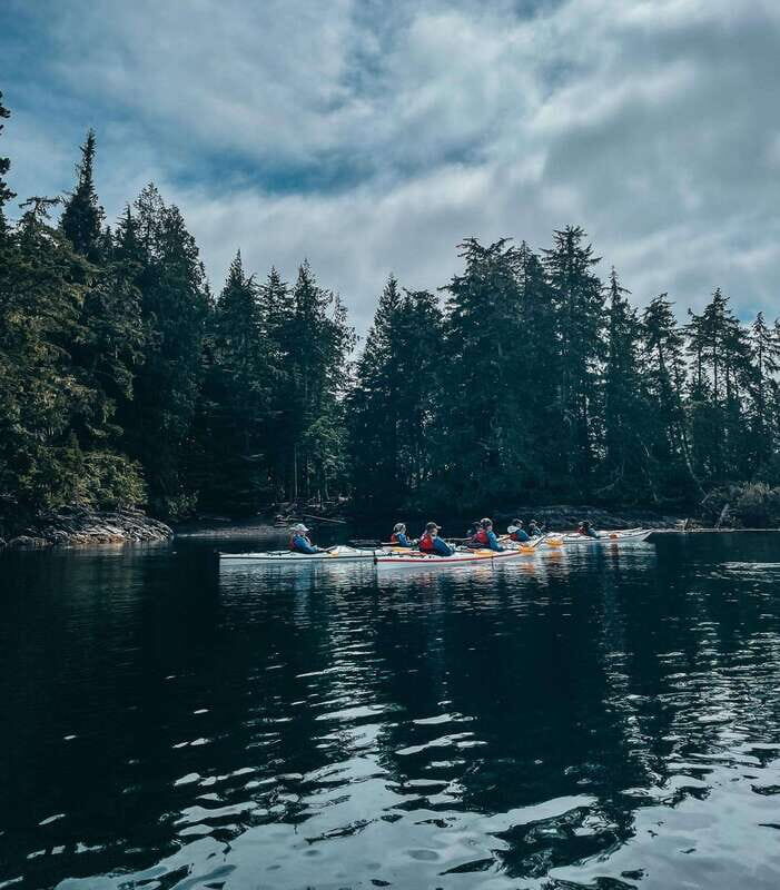 Telegraph Cove: Half-Day Kayaking Tour - What Makes This Tour Stand Out?