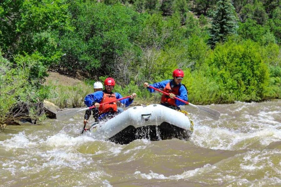 Telluride Afternoon Half Day Rafting Trip - San Miguel River - The Rapids and Scenic Highlights