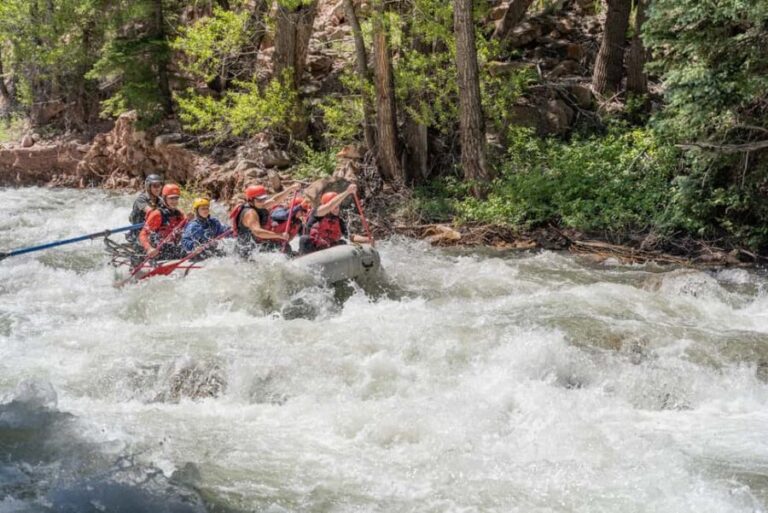 Telluride Morning Half Day Rafting Trip - San Miguel River - The Practicalities: What’s Included and What to Know