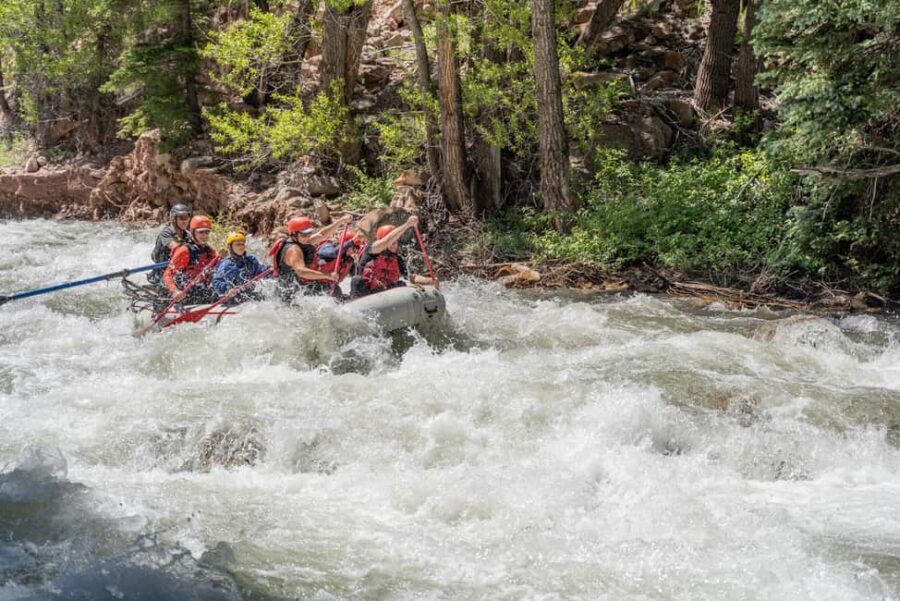 Telluride Morning Half Day Rafting Trip - San Miguel River - The Practicalities: What’s Included and What to Know