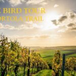 Temecula's Premier Wine Tasting Tour - Who Would Love This Tour?