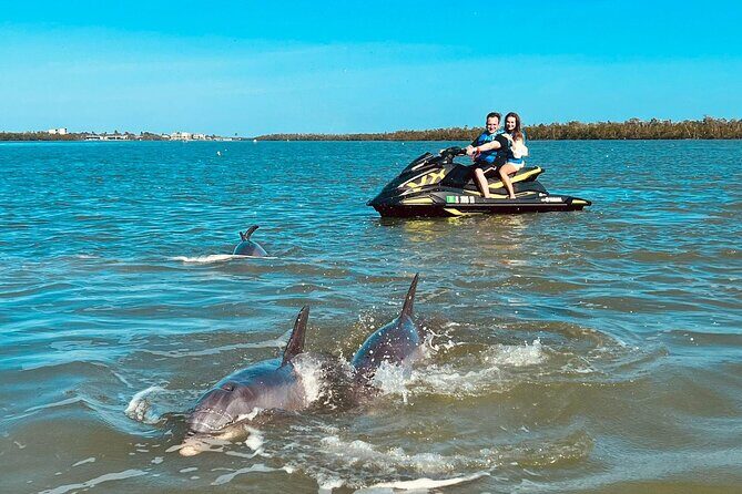Ten Thousand Island Jet Ski Eco Tour - Marco Island - The Wildlife and Scenery