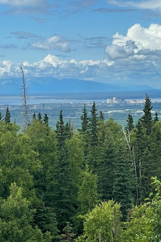 Tent city Anchorage and wonderful surroundings 3 hrs tour - What You’ll Love