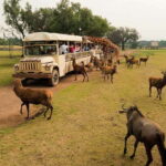Teotihuacan: Entrance to Animal Kingdom Park; Adventure & Nature - The Highlights of Your Visit