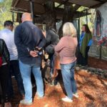 Teotihuacan Exclusive Cueva Tour and Breakfast - Analyzing the Value