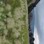 Teotihuacan Pyramids small groups and Basilica of Guadalupe - Final Thoughts: Is This Tour Right for You?