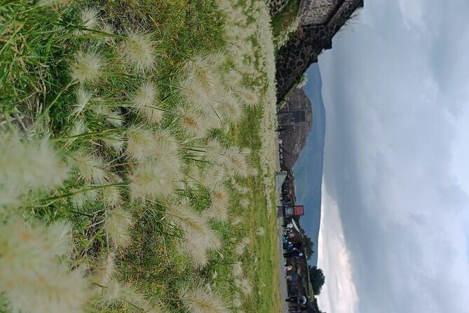 Teotihuacan Pyramids small groups and Basilica of Guadalupe - Final Thoughts: Is This Tour Right for You?