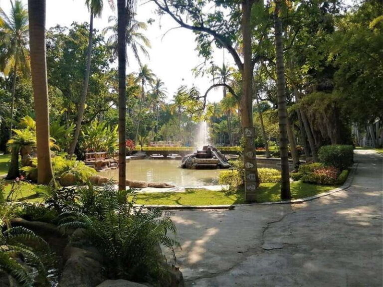 Tepoztlan: Las Estacas and Tepoztlan Tour - Practical Details and Tips