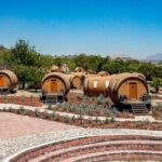 Tequila & Ancient Ruins: Private Day Trip from Puerto Vallarta - Real Value & Considerations