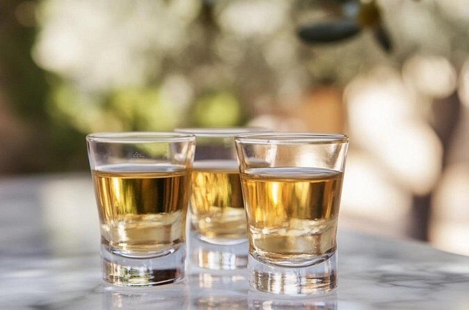 Tequila and Mezcal Tasting in Colonial Mansion Restaurante Diego - The Tasting: What You’ll Sample