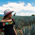 Tequila Full-Day Discovery Tour of Amatitan - Who Should Consider This Tour?