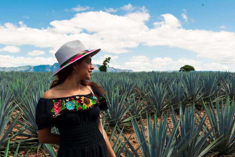 Tequila Full-Day Discovery Tour of Amatitan - Who Should Consider This Tour?