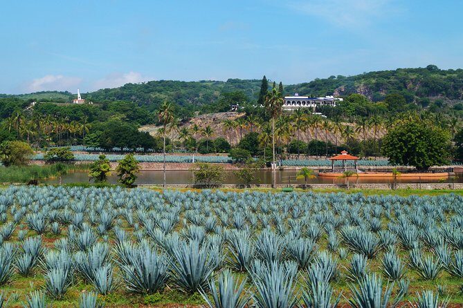 TEQUILA, The Spirit of Mexico PRIVATE TOUR - Who Should Consider This Tour?