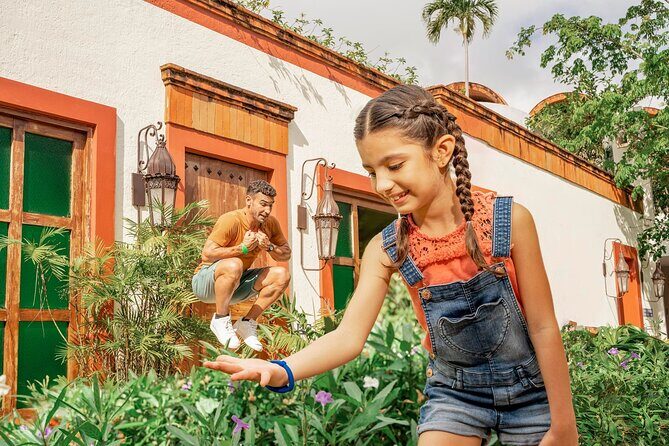 Test your Senses at unforgettable Park Xenses from Riviera Maya - Practical Details: Transportation, Duration, and Cost