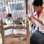 The Art, History and Gastronomy of Mexico - Who Should Consider This Tour?