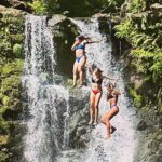 The best half day of your life! Luxury Road to Hana private tour - The Practical Details