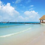 The Best of Holbox Bird Island, Passion Island and Yalahau Cenote - Who Is This Tour Best For?