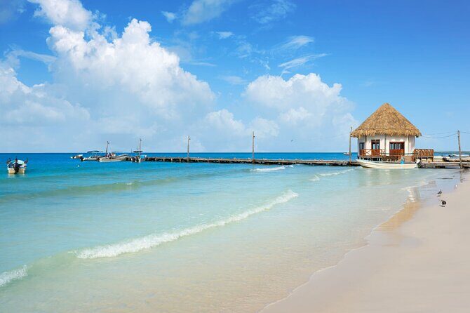 The Best of Holbox Bird Island, Passion Island and Yalahau Cenote - Who Is This Tour Best For?