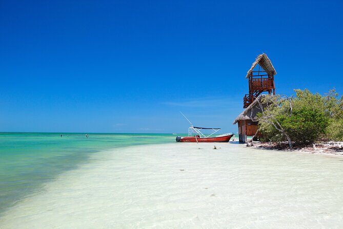 The best of Holbox from Tulum - FAQ